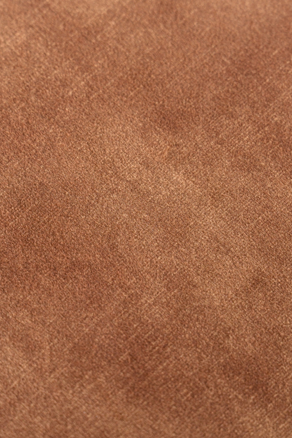 Modrest Saehee Modern Camel Velvet Fabric Dining Chair Model VGEUMC-7512CH-DECENT-004